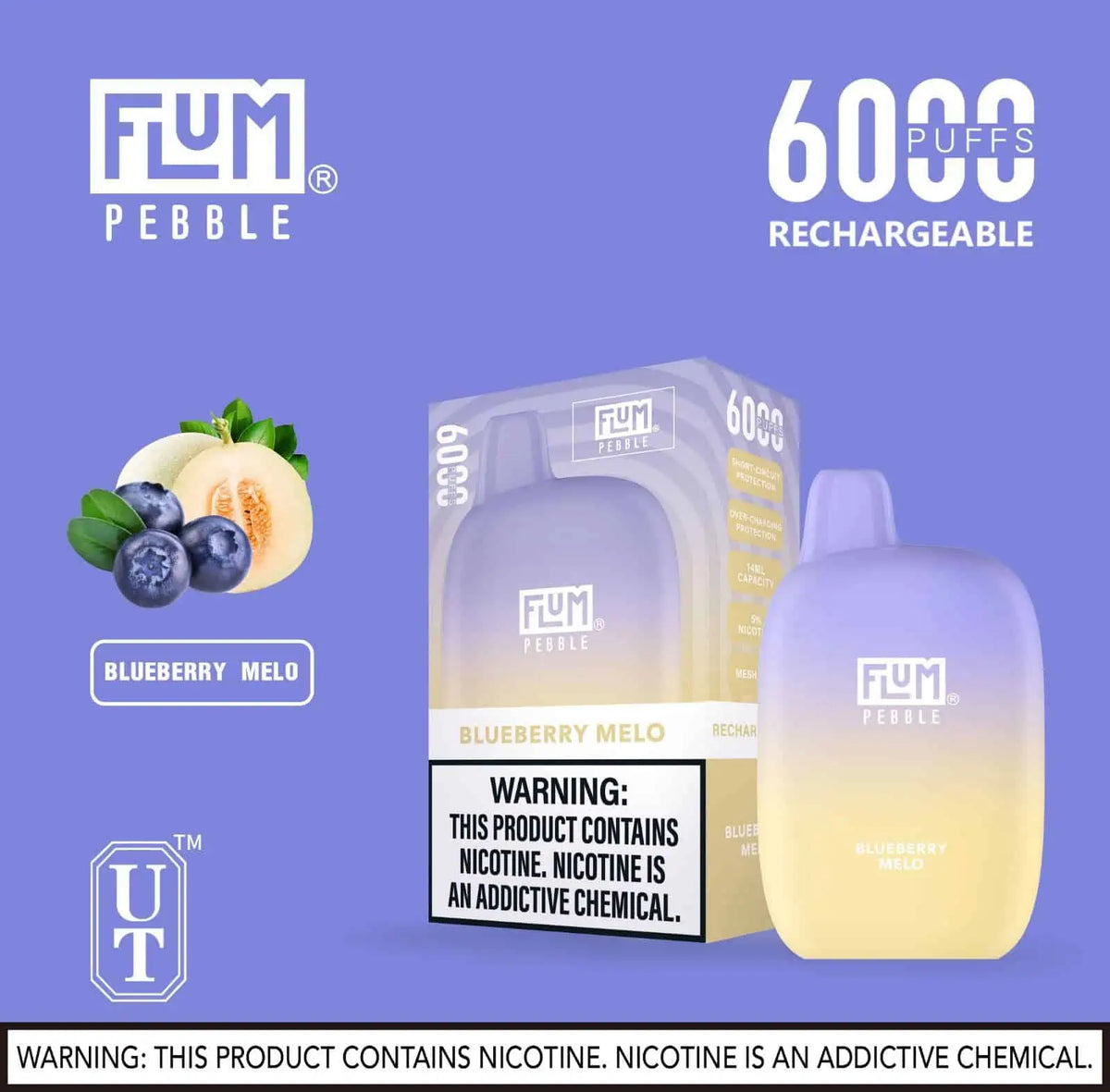 Flum Pebble - BLUEBERRY MELO